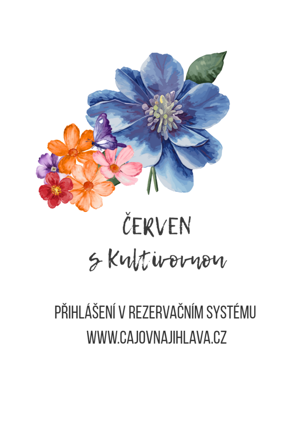 leden web_20260527_204634_0000(1)